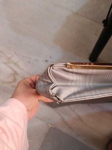 Handbag With Minor Chirpings