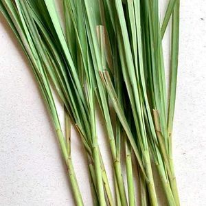 Lemongrass Leavers Fresh/dry