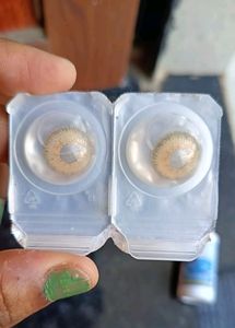 Hazel Color Lens ( Unisex) + Solution+ Case