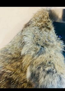 Warm Stylish Korean Jacket