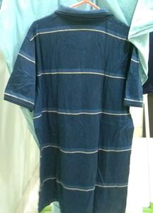 Striped Polo Shirt