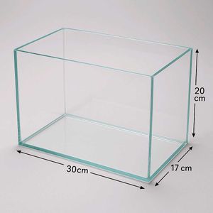 Fish Aquarium