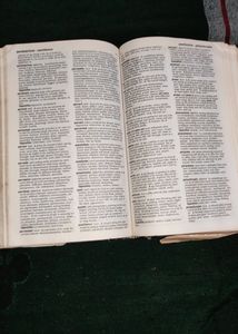 Dictionary of Thesaurus