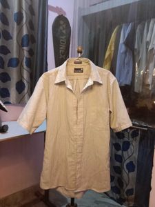 Stanley Blacker Stripped Premium Shirt