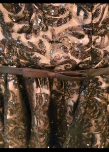Sequin Dress In Net