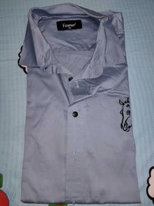 Party Wear Shirt