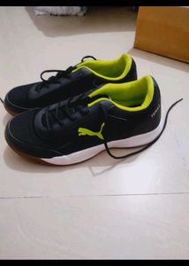 Puma Indoor Sports Shoes