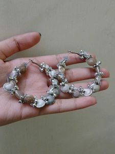 Stunning Shell Earrings