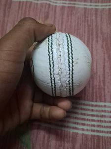 a cricket ball club level for professional