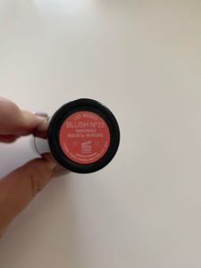Chanel Les Beiges Blush No. 22