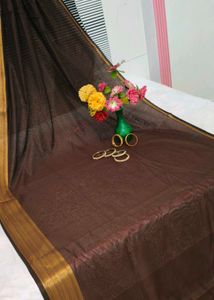 Elegant Coffee Brown Saree Zaree Patta