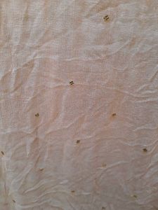 Peach Colour Daily use Dupatta