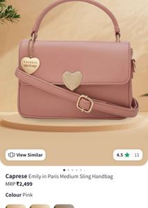 Caprese Emily In Paris Sling Handbag