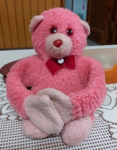 Combo Of 2 Soft Toys