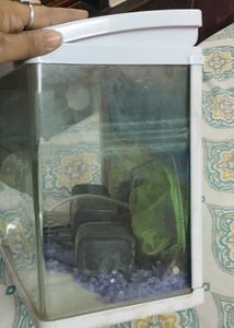 Used Aquarium with filter, stones,