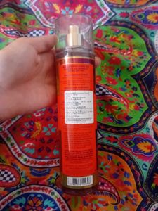 Fiji Sunshine Guava Tivi (lowest Rate)