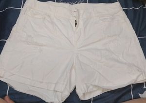 Tommy Hilfiger Women Shorts