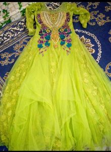 Elegant Ethnic Gown