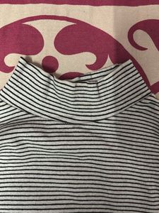 Striped Turtleneck Top