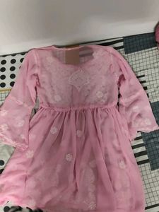 Pink Lucknow Chikan Top