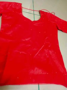 Red Embroidered Lehenga Skirt