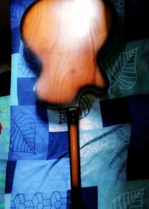 Brand New Signature Guitar