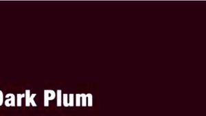 Zarmar Matte Lip Gloss(DARK PLUM)