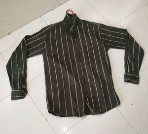 Men Regular Fit Striped Curved Collar Casual Shirt