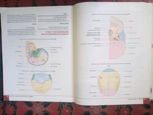Book Anatomy