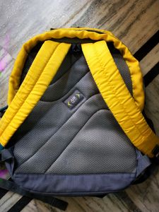 Skybags Yellow Backpack