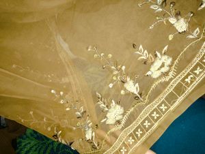 Elegant Embellished Saree
