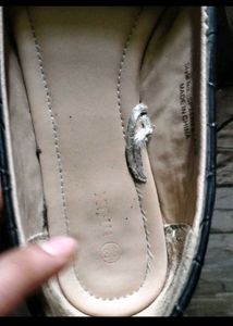 Used Branded Bellies