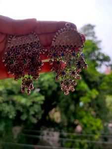 Beautiful Earings
