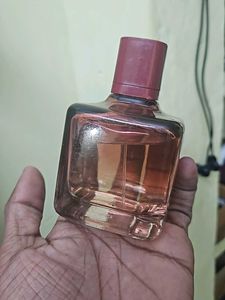 Zara Pink Flame Winter (Rare)