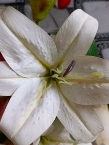 Artificial Lily Flowers