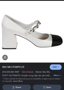 Totally New Miumiu Bellies
