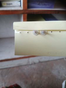 Cute Orange Earrings