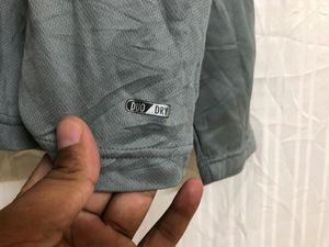 Champion Grey T Shirt