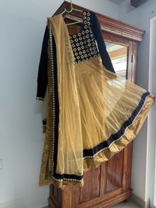 Black And Gold Dazzler