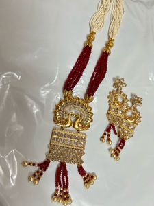 Elegant Gold &amp; Red Indian Jewelry Set