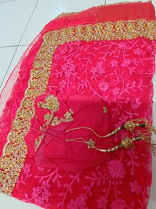 Beautiful Dulhan Saree