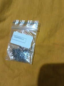 Plant Seeds