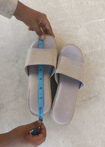 Elegant Champagne Slides