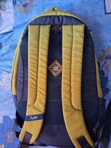 Skybags Backpack