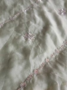 Mint Green Embellished Saree