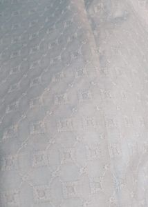 Chikankari Hakoba Fabric