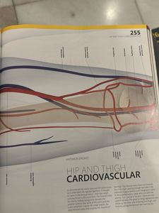 The Complete Human Body