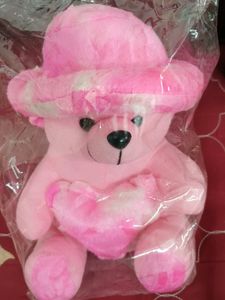 Packed Teddy Bear