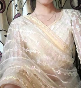 Elegant Embellished Saree