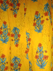 Ethnic Skirt
